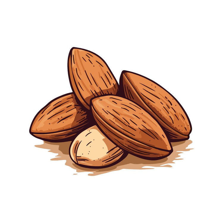 Nuts & Seeds