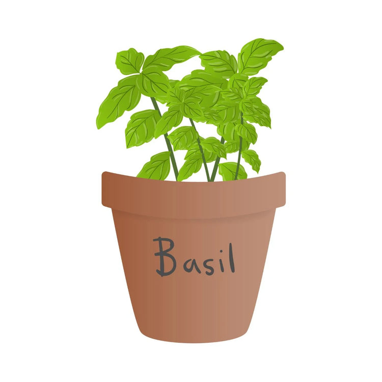 Fresh Herbs