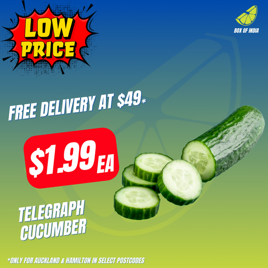 Cucumber Telegraph (Product of New Zealand)(Small Size)