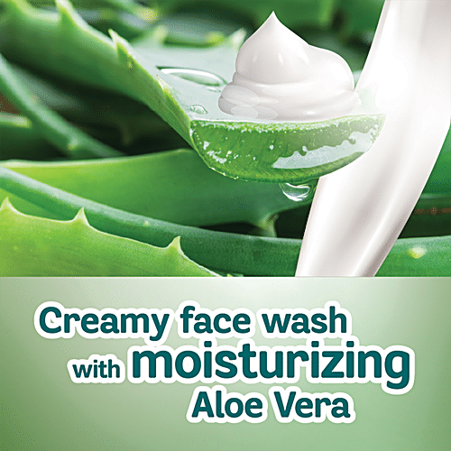 Himalaya Aloevera Face Wash 100ml