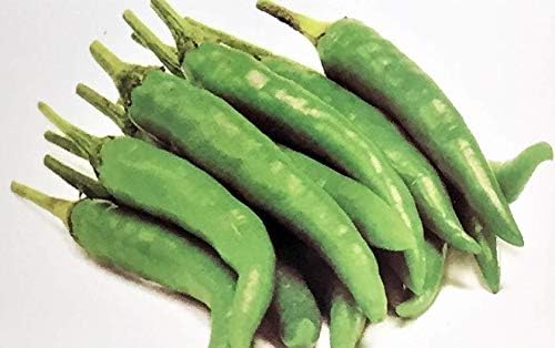 Shan Chilli Pickle -1kg