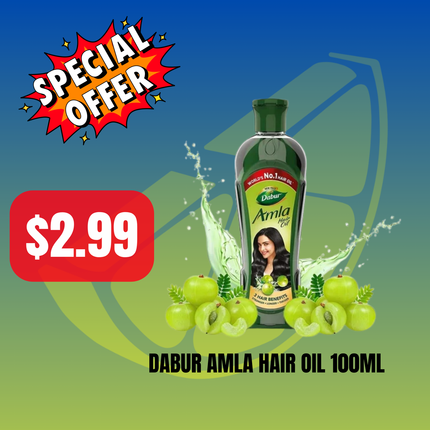 Dabur Amla Hair Oil 100ml