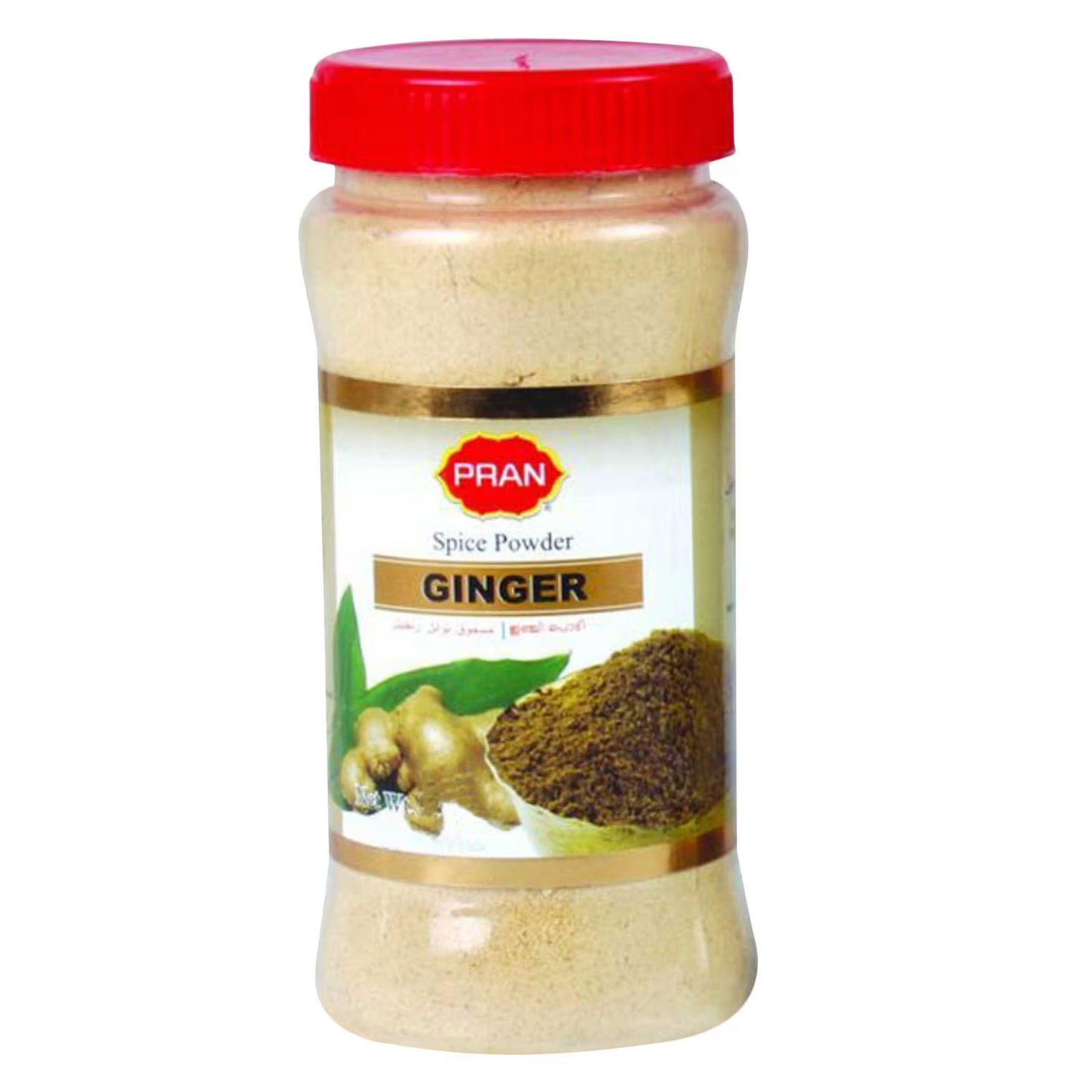 Ginger Powder 100g (Pran)