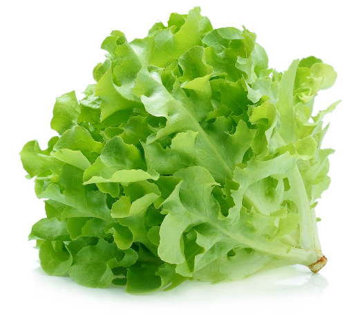 Lettuce Fancy Green Oak Bag