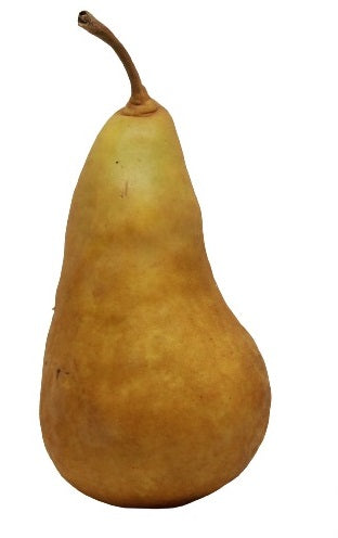 Organic Bosc Pears 1kg Bag