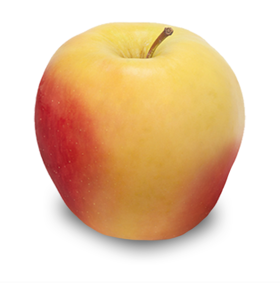 Apples Ambrosia 1kg Bag