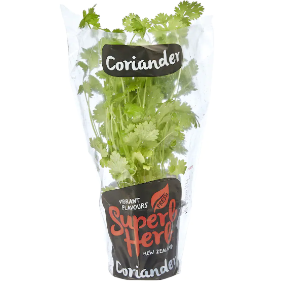 Coriander Large Pot