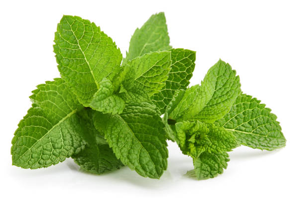 Herbs Mint 500g Bag