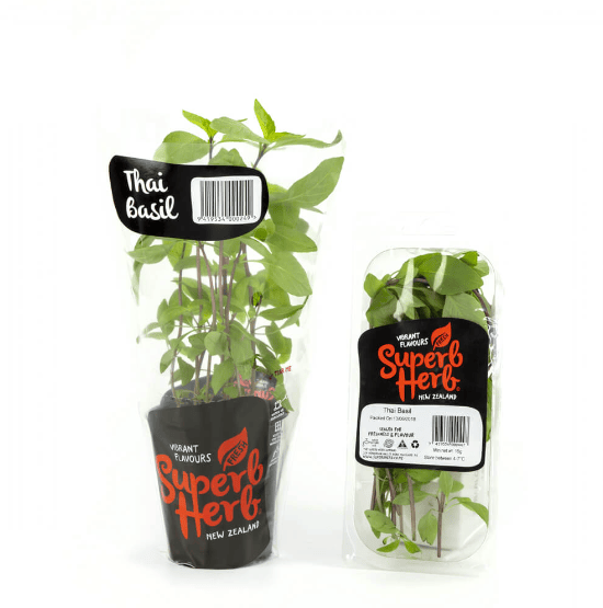 Herbs Cut Thai Basil Sh Pp 15g