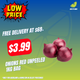 Onions Red Unpeeled 1kg Bag