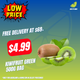 Kiwifruit Green 500g Bag