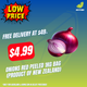 Onions Red Peeled 1kg Bag (Product of New Zealand)