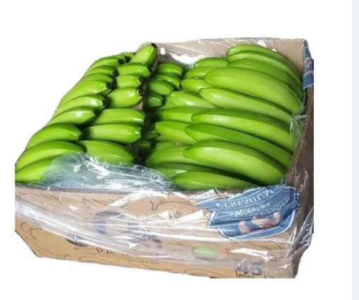 13Kg Box Banana Green