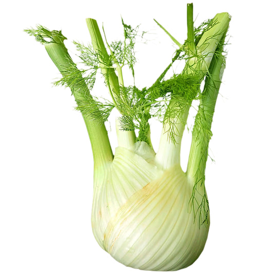 Fennel Bulb Each