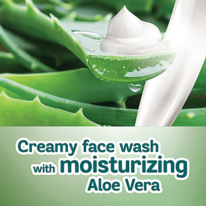 Himalaya Aloevera Face Wash 100ml