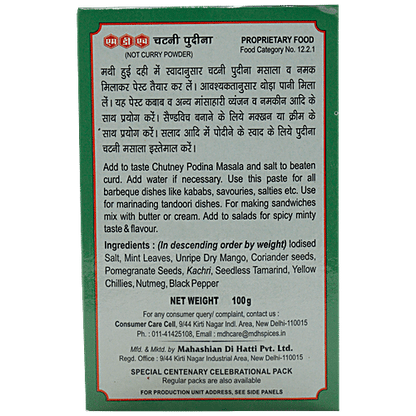 MDH Chutney Pudina 100g
