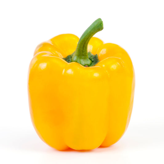 Capsicum Yellow Each (Product of New Zealand)