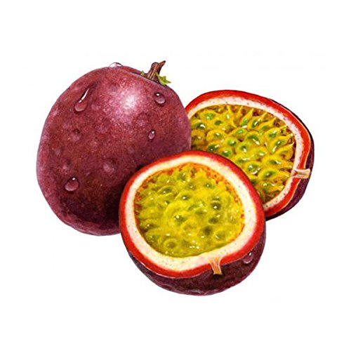 Passion Fruit 500g