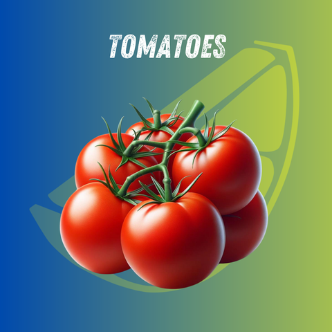 Tomatoes 1 KG (Product of New Zealand)