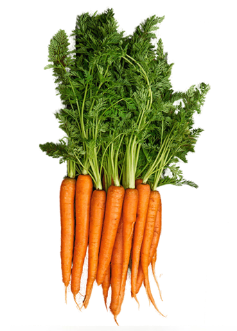 Carrots Baby Bunch
