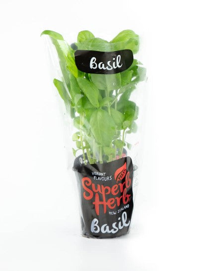 Herbs Basil Large Pot