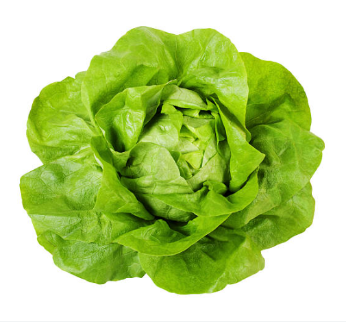 Lettuce Fancy Butterhead Bag