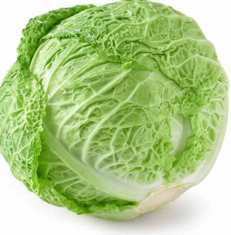 Cabbage Savoy Green Each