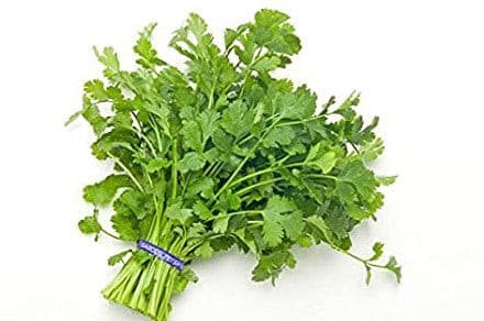 Coriander 500g