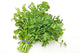 Coriander 500g