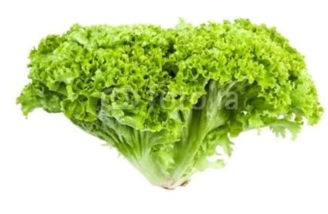 Lettuce Fancy Lollo Bionda Bag