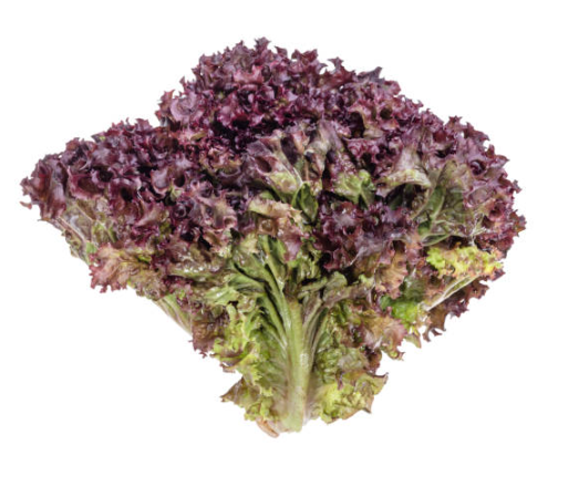 Lettuce Fancy Lollo Rosso Bag