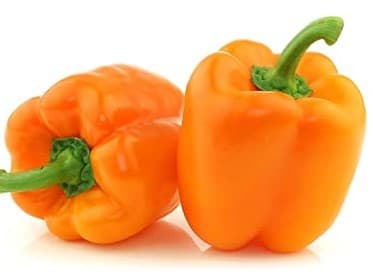 Capsicum Orange Each