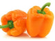 Capsicum Orange Each