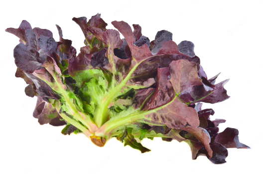 Lettuce Fancy Red Oak Bag