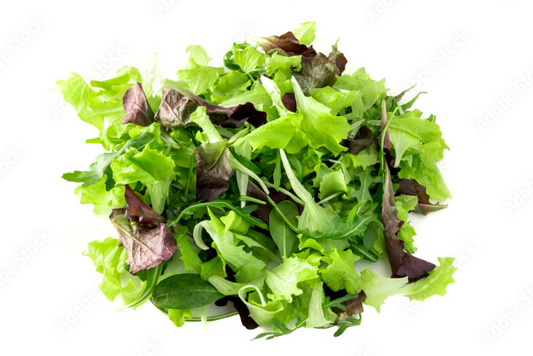 Salad Mix 100g
