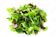 Salad Mix 100g