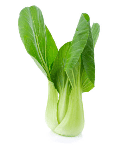 Asian Large Bok Choy Cabbage Pp