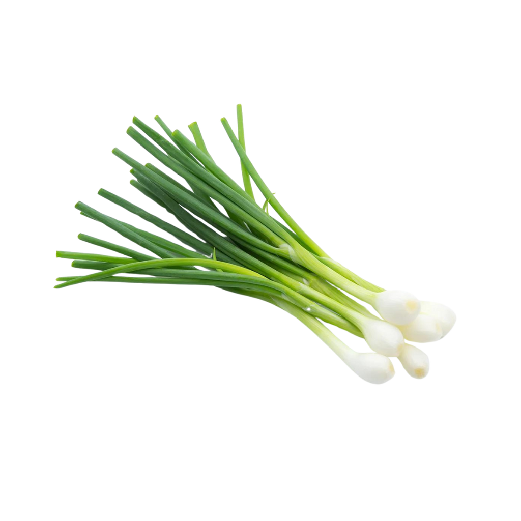 Spring Onion Bunch (Product of New Zealand)