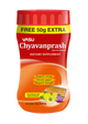Vasu Chyawanpransh 550g