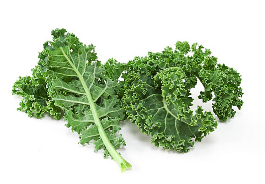 Kale Curly Green Bag