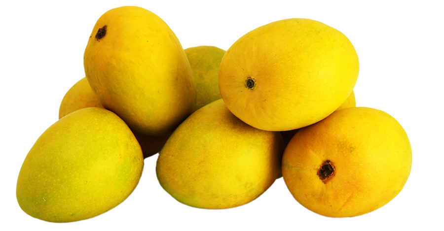 Indian Mangoes Kesar Each