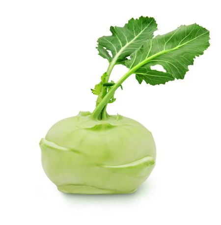 Kohl Rabi Each