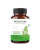 Moringa Capsules - 90 Vegetarian Capsules 500mg