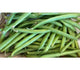 Australian Beans 200g